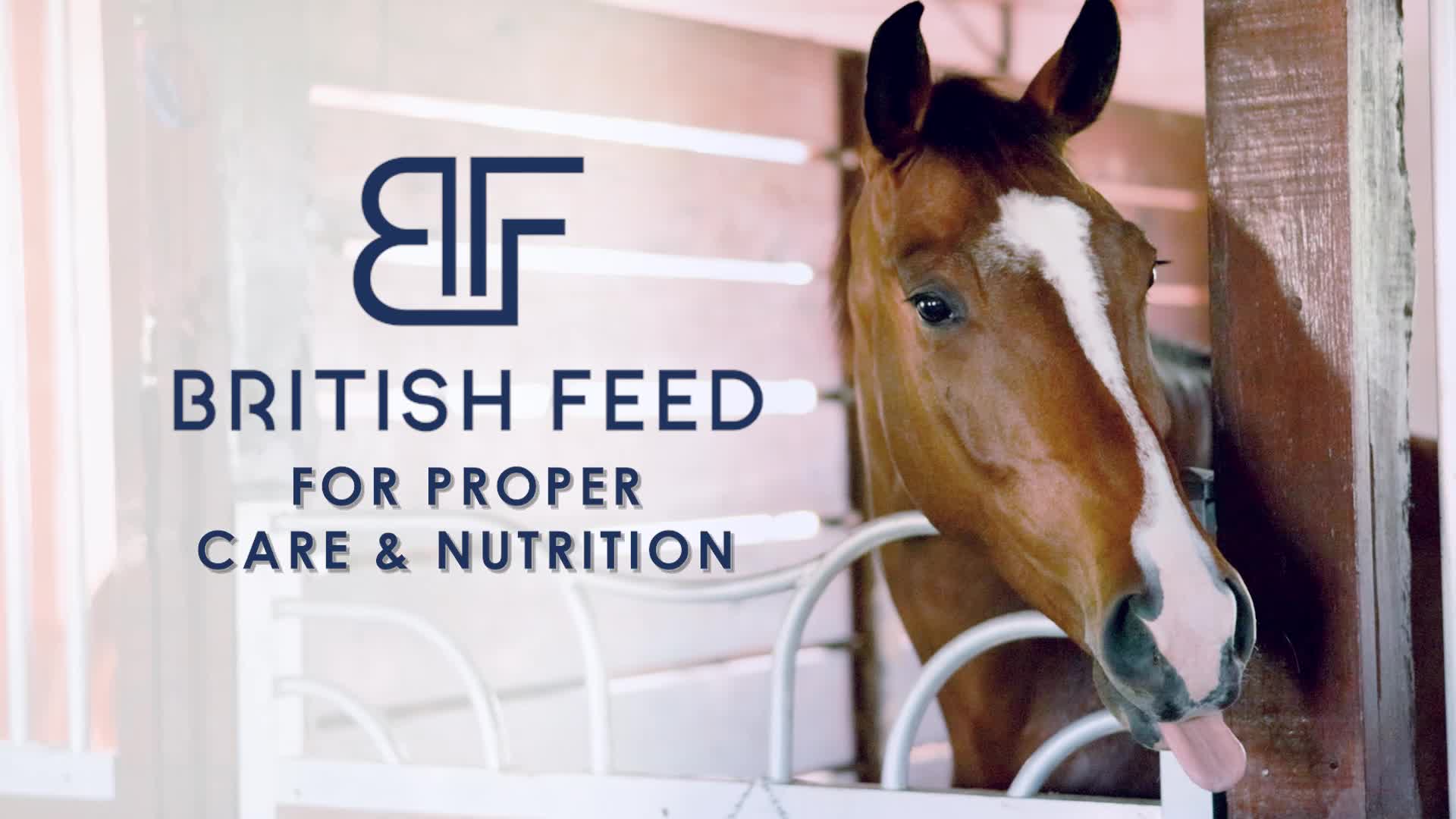 British Feed — For Proper Care & Nutrition